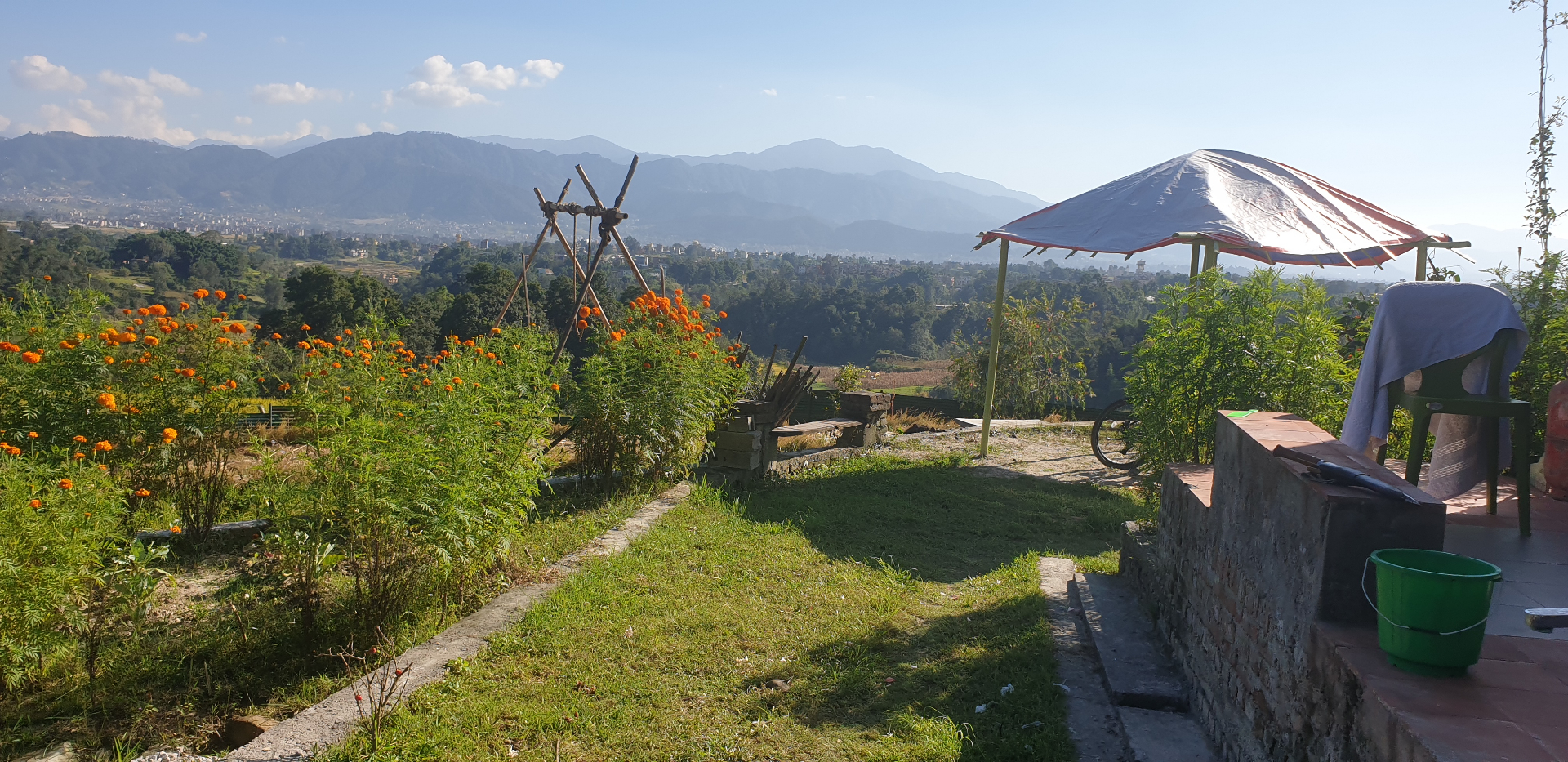Marigolds blooming with the valley and mountains beyond
